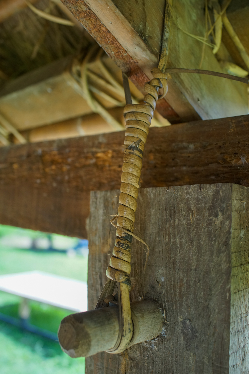 Le rotin sert à nouer le bambou et le chaume (photo : Sasa)