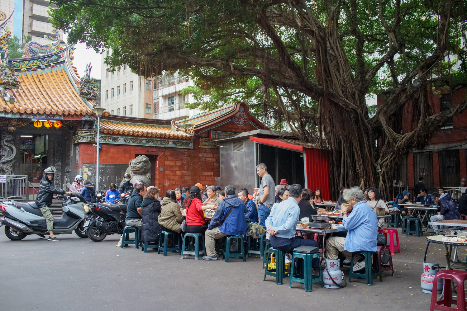 Les grands banians protègent de la chaleur du soleil en été (© Sasa)