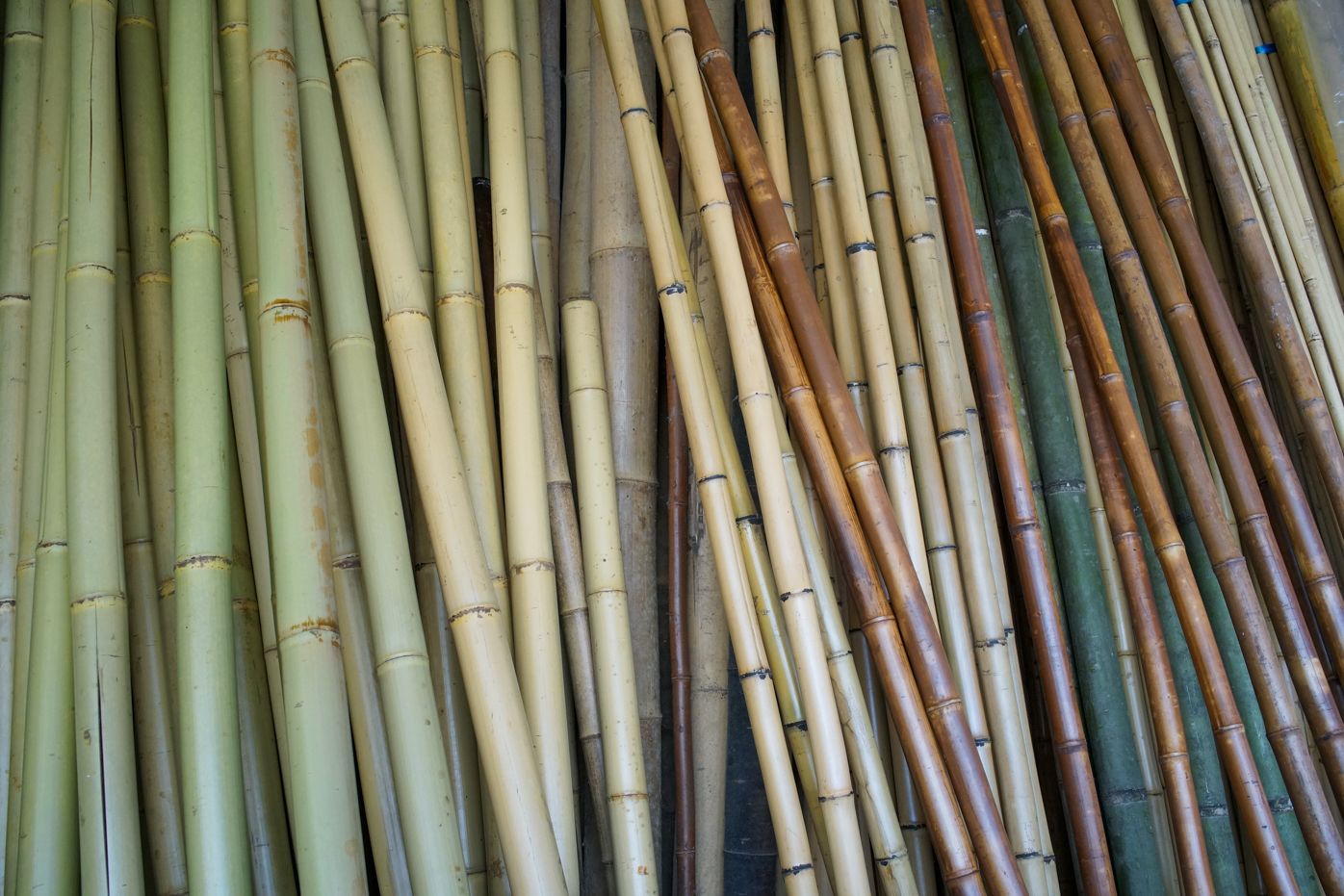 Dans l’atelier Yuesan Gongfang (photo © Sasa)