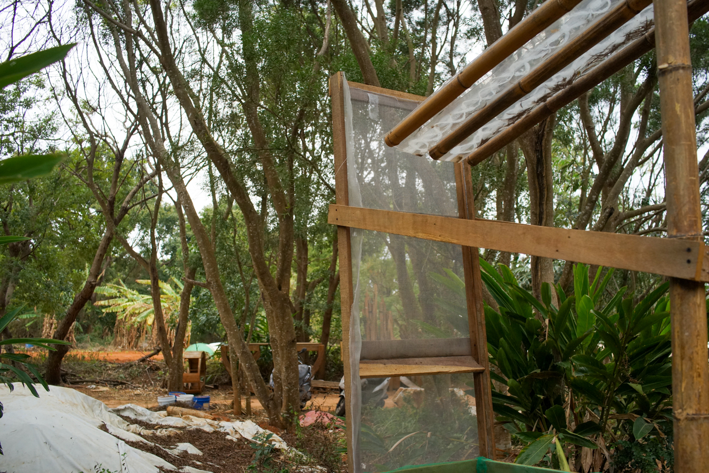 … et des feuilles mortes !