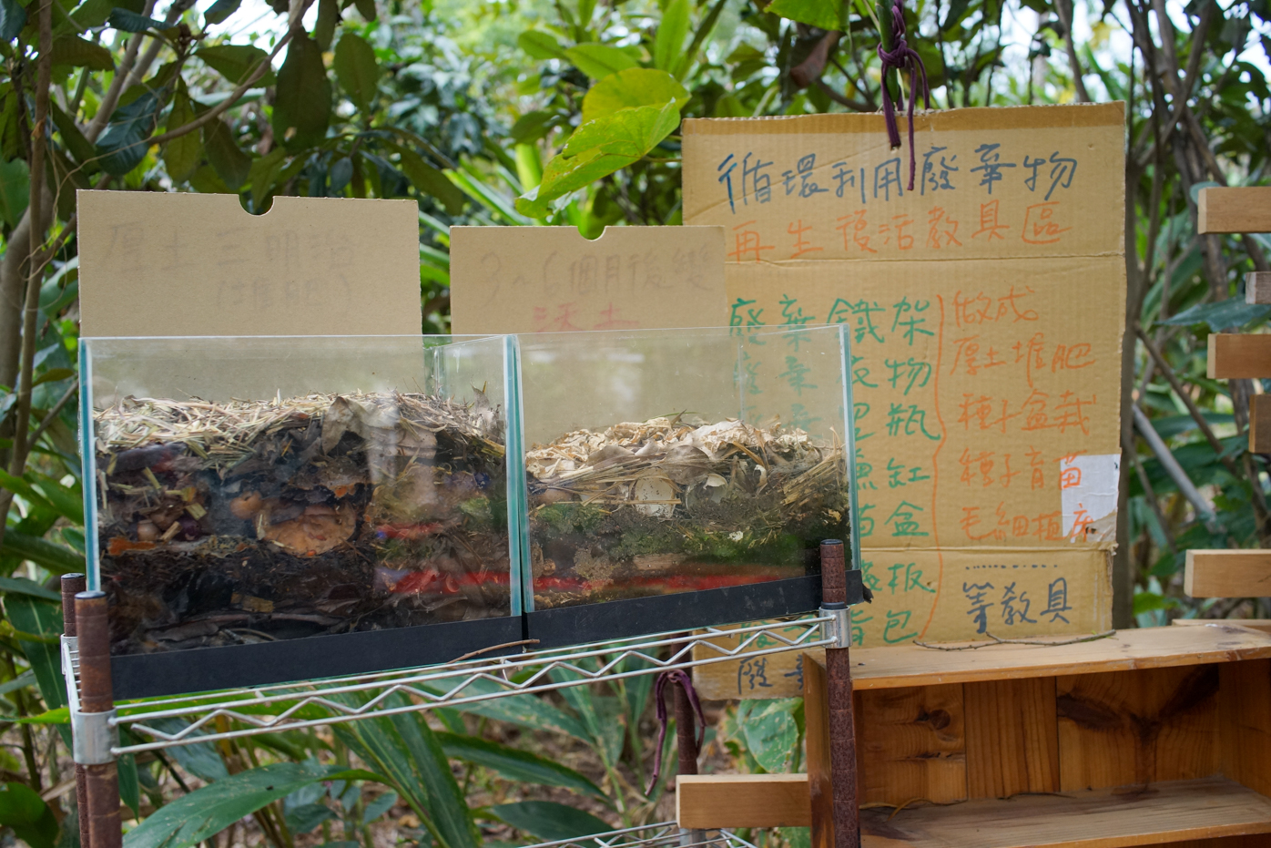 Pédagogie sur le compost (photo : Sasa)