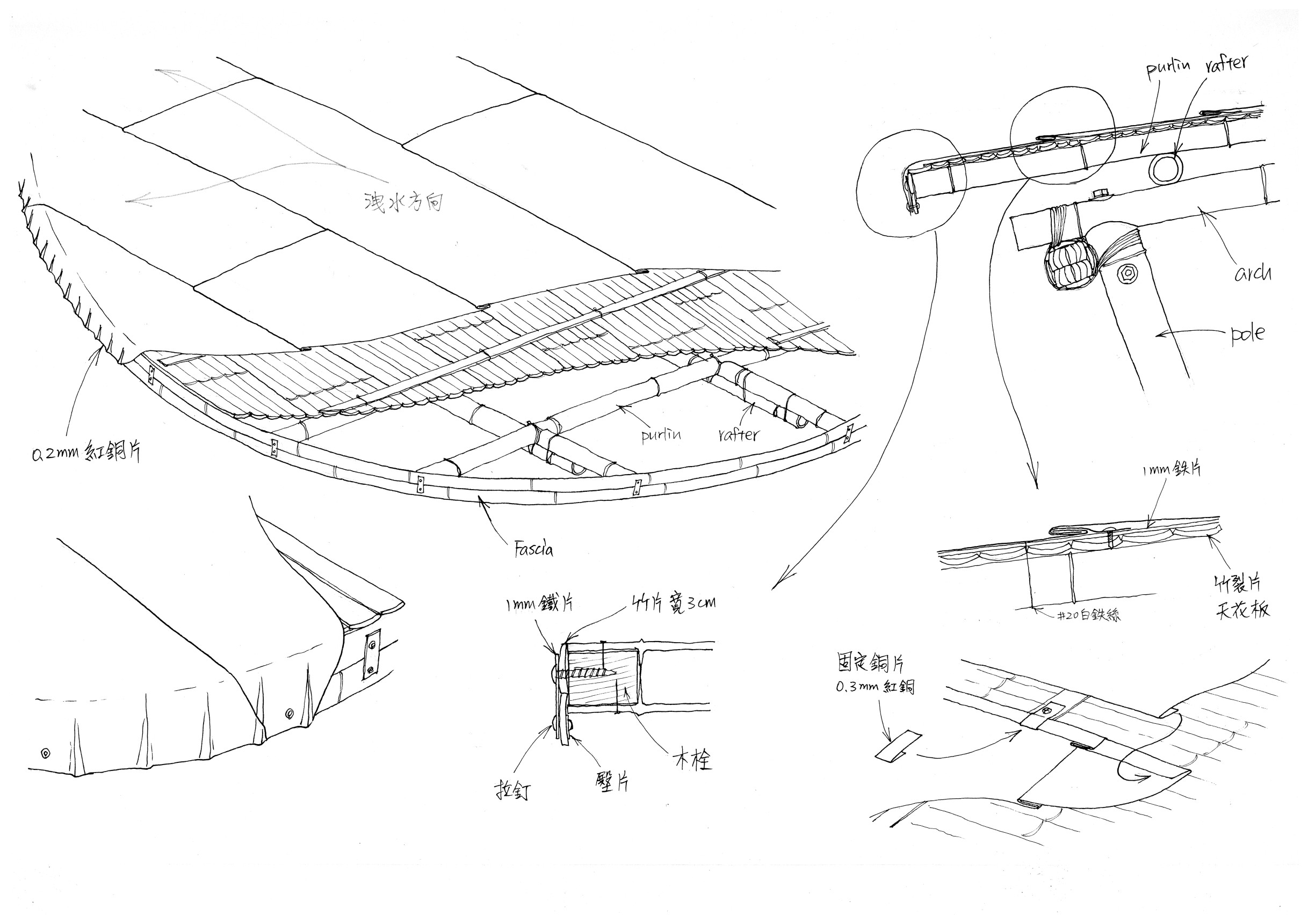 illustration : 自然心地