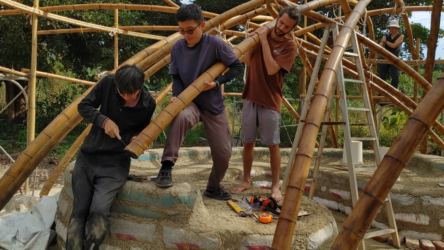 photo : 自然心地