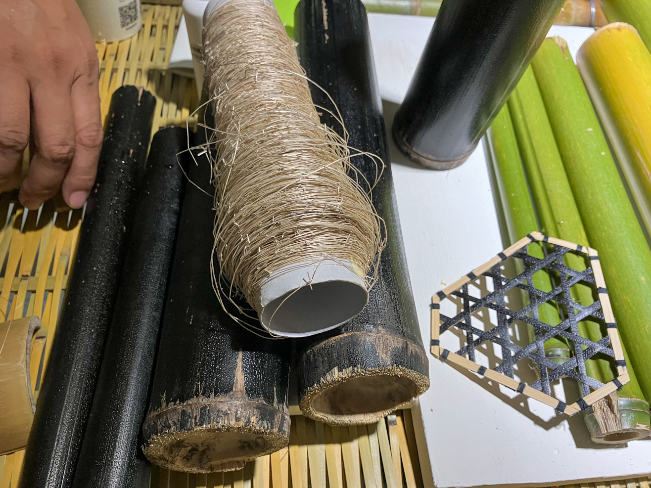 Le bambou Makino a la particularité de devenir noir une fois mort (photo : Sasa)