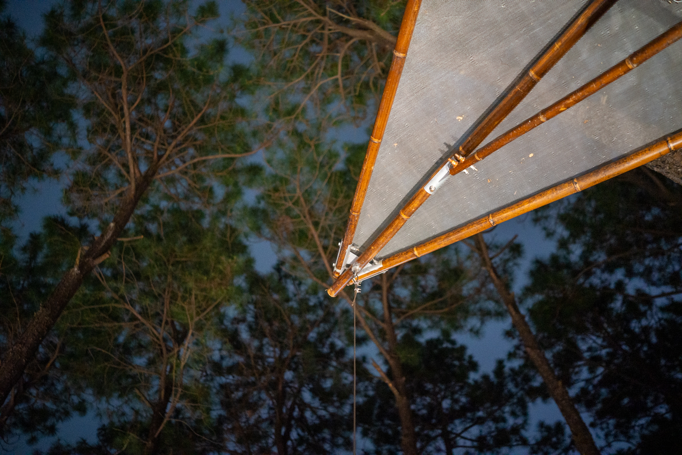 The Float (photo : Sasa)