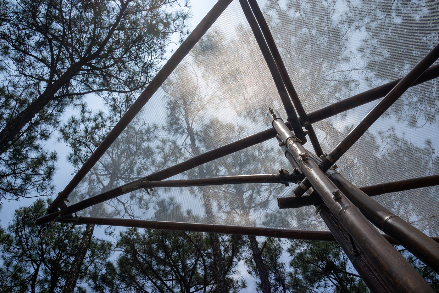 The Float (photo : Sasa)