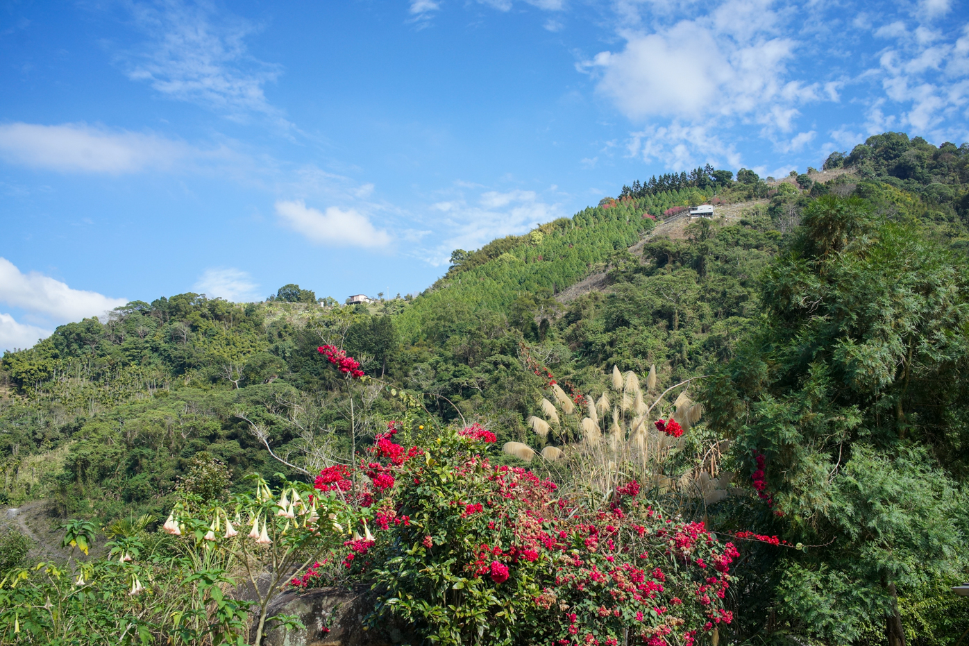 La vue sur les montagnes à Dongshi (Taichung) (photo : Sasa)