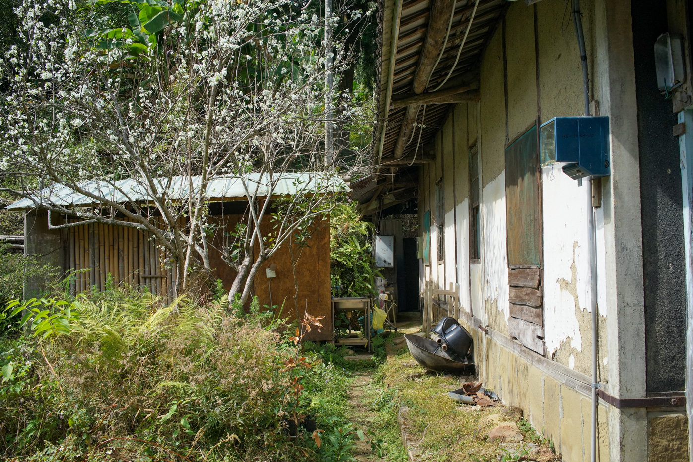 Au fond, les toilettes sèches construites par Hong-ming (photo : Sasa)