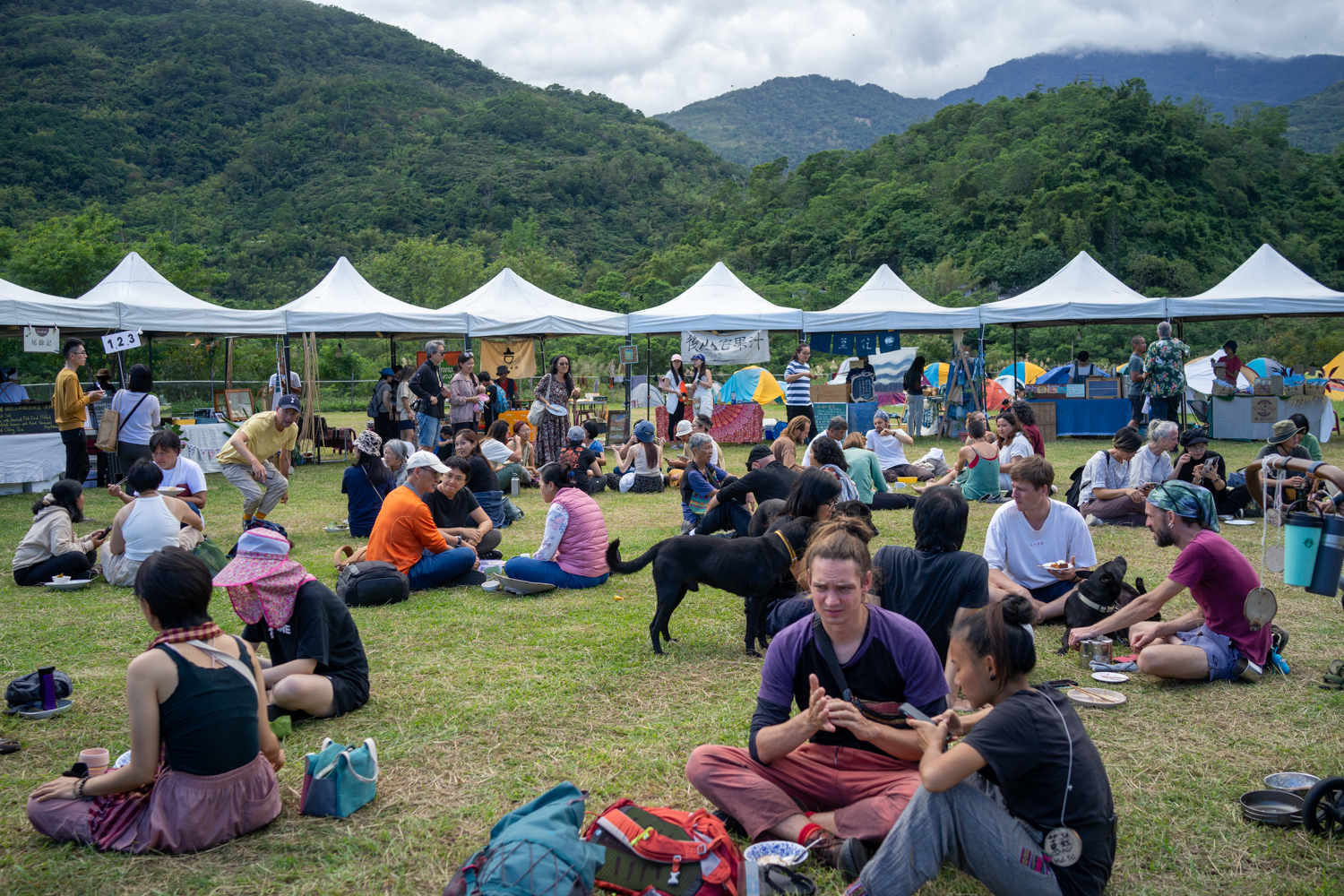 Discussions pendant le pique nique (photo : Sasa)