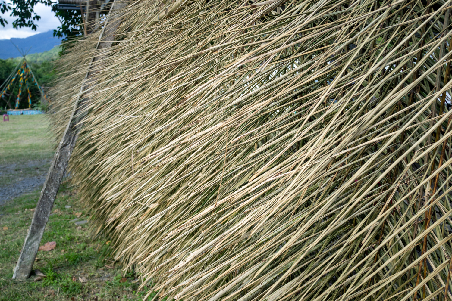 Les murs de certaines salles de conférence étaient en feuilles de palmiers séchées (photo : Sasa)