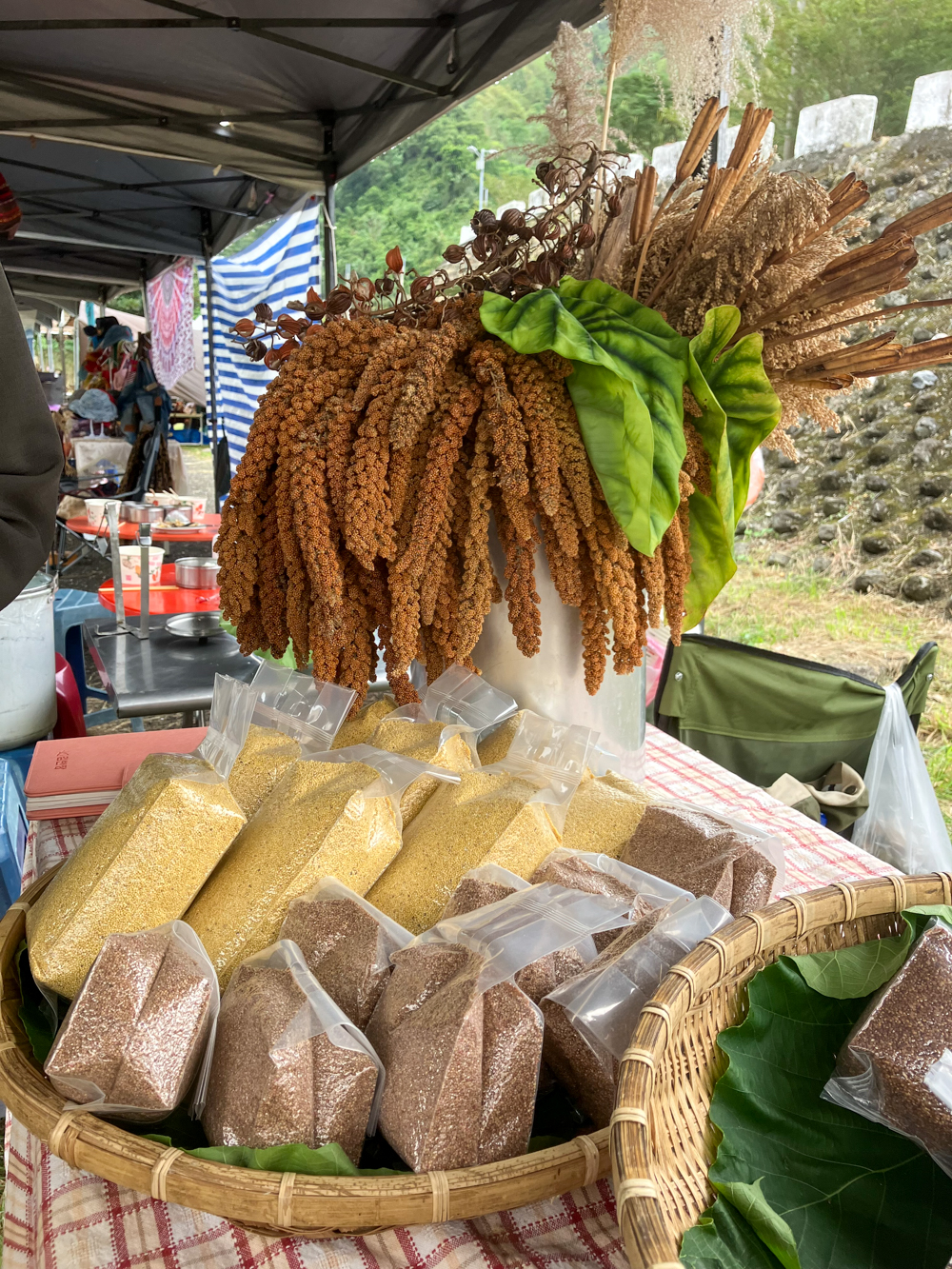 Les habitants du village de Taromak essaient de faire revivre la culture du millet (photo : Sasa)