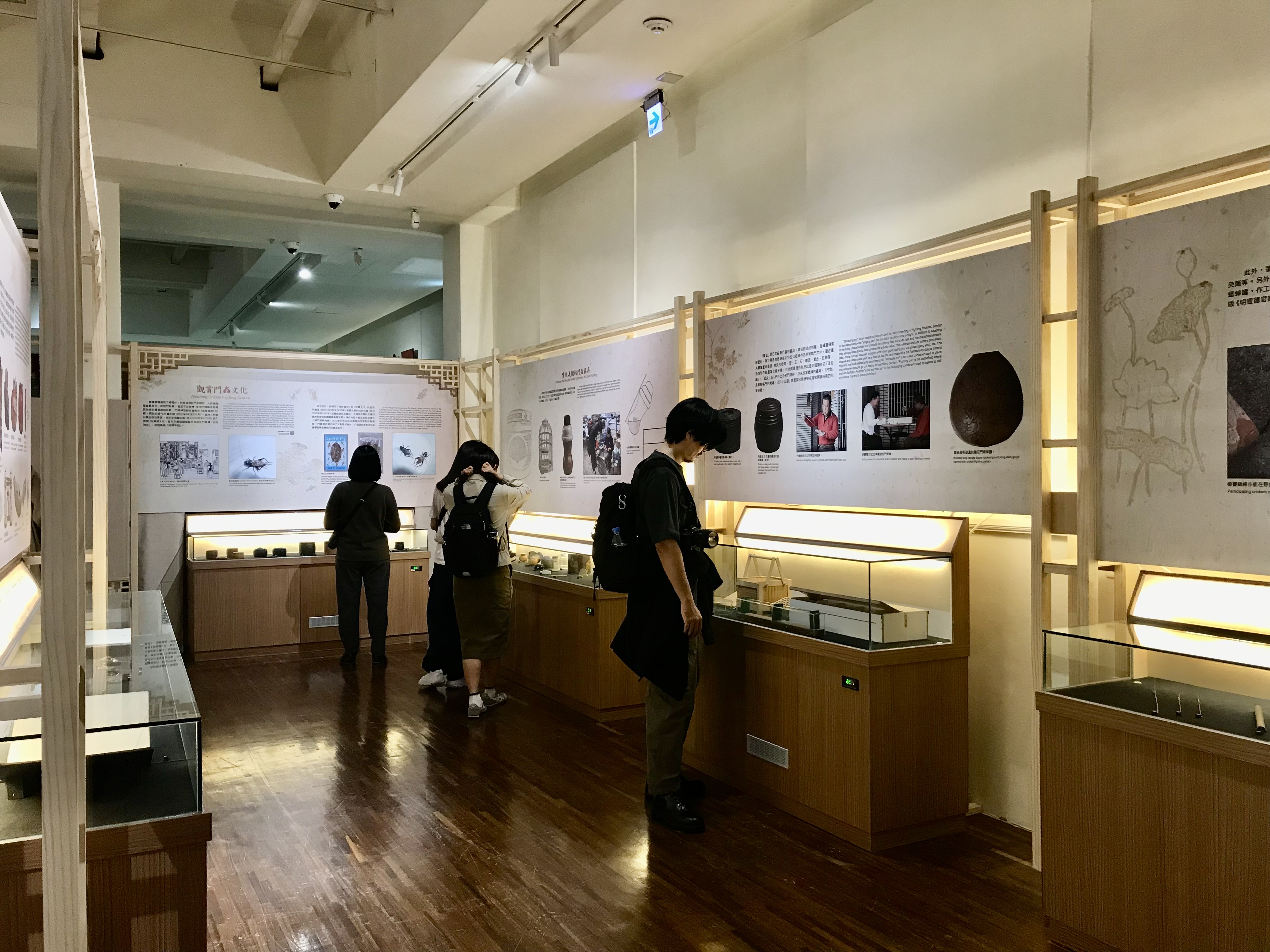 Au Musée national de Taïwan, une exposition célèbre criquets, cigales et autres insectes chanteurs (Image : Musée national de Taïwan)