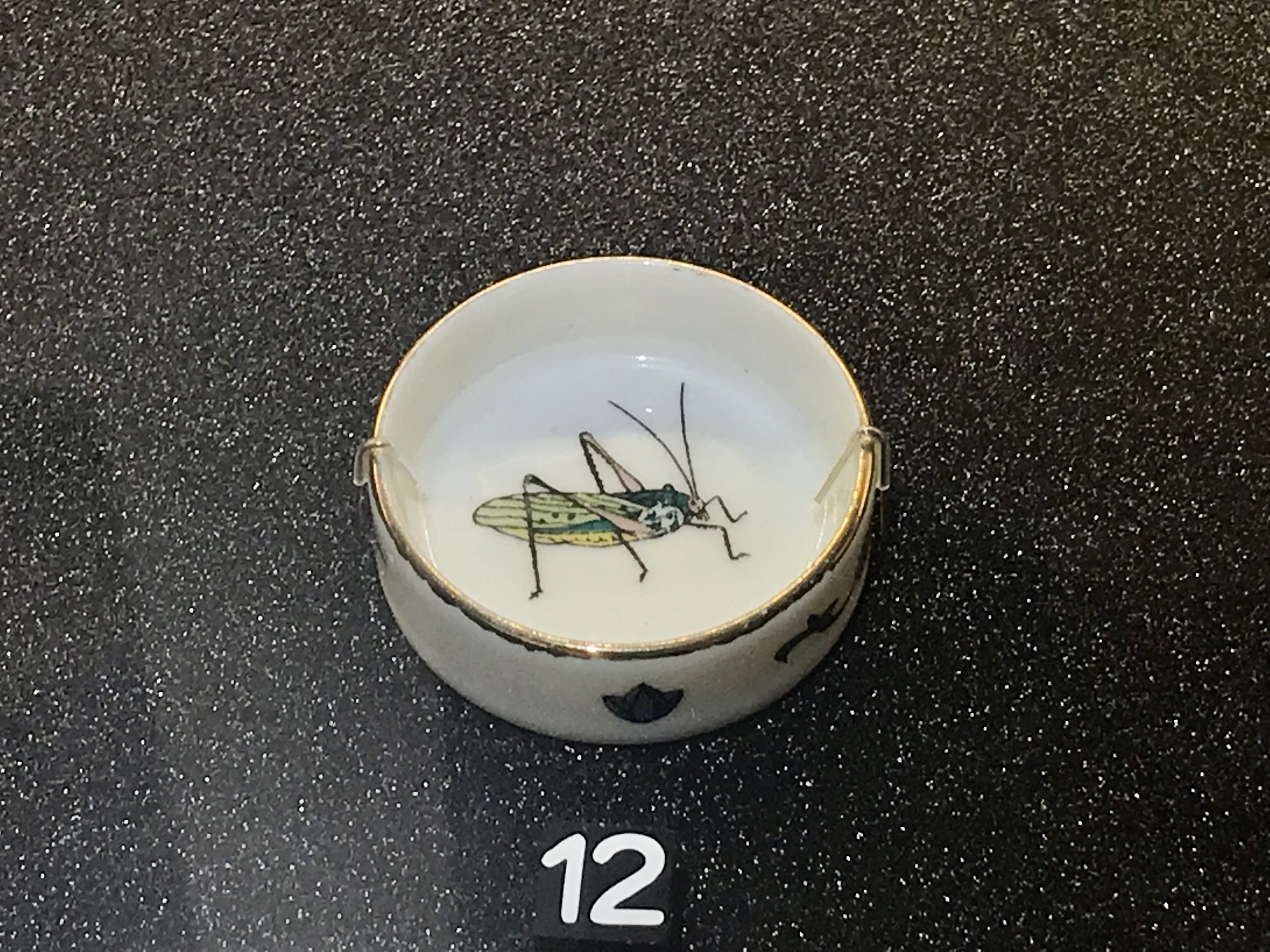 Au Musée national de Taïwan, une exposition célèbre criquets, cigales et autres insectes chanteurs (Image : Musée national de Taïwan)