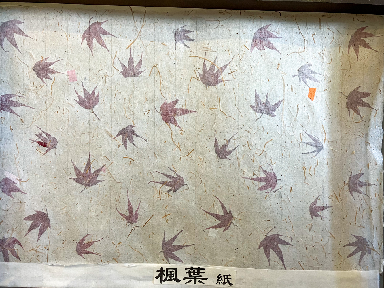 Incrustation de feuilles d'automne dans du papier artisanal, Goang Xing Paper Mill (photo : Sasa)