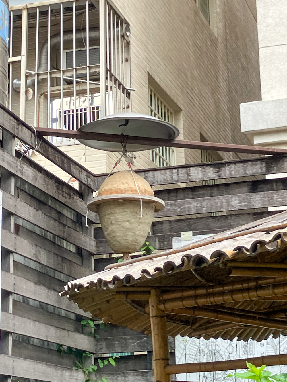 Abri pour les abeilles sauvages (photo : Sasa)