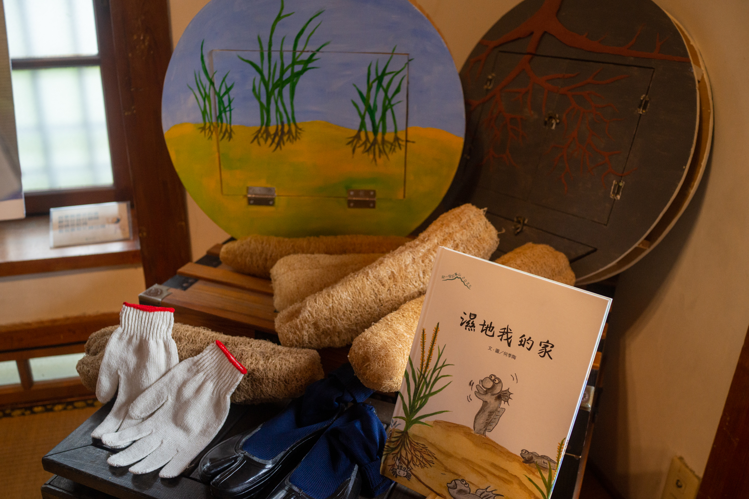 Livre jeunesse sur les animaux des zones humides (photo : Sasa)