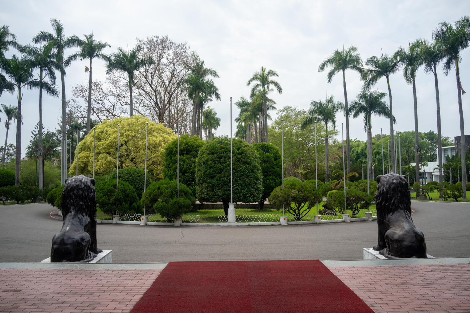 Les fameux lions... (photo : Sasa)