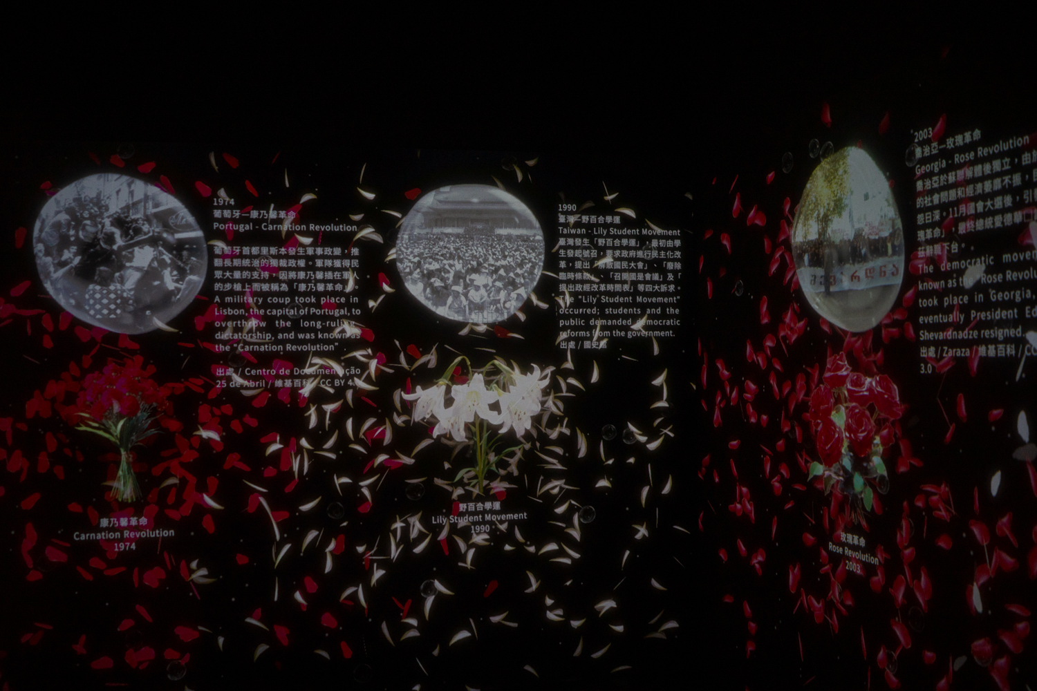 Le jardin de la démocratie donne des explications sur différents mouvements en faveur de la démocratie dans le monde (photo : Sasa)