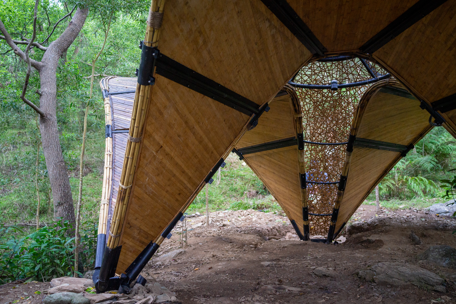 Papillon de Bambou, d'Eric Chen (photo : Sasa)