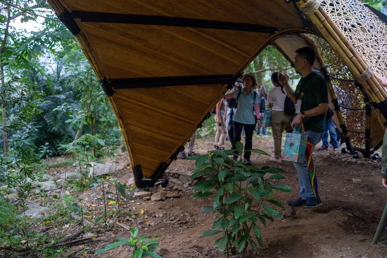 Papillon de Bambou, d'Eric Chen (photo : Sasa)