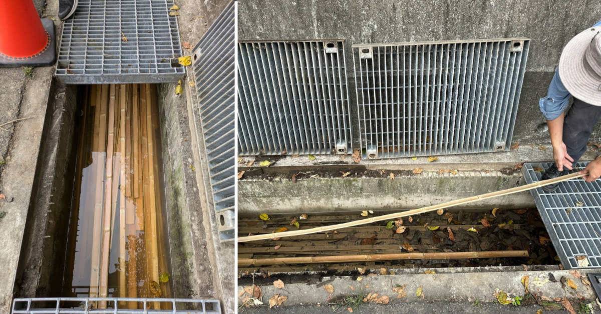 L'équipe a expérimenté une nouvelle méthode de traitement du bambou : le tremper dans les sources d'eau chaude de Zhiben ! (photo : AHA)