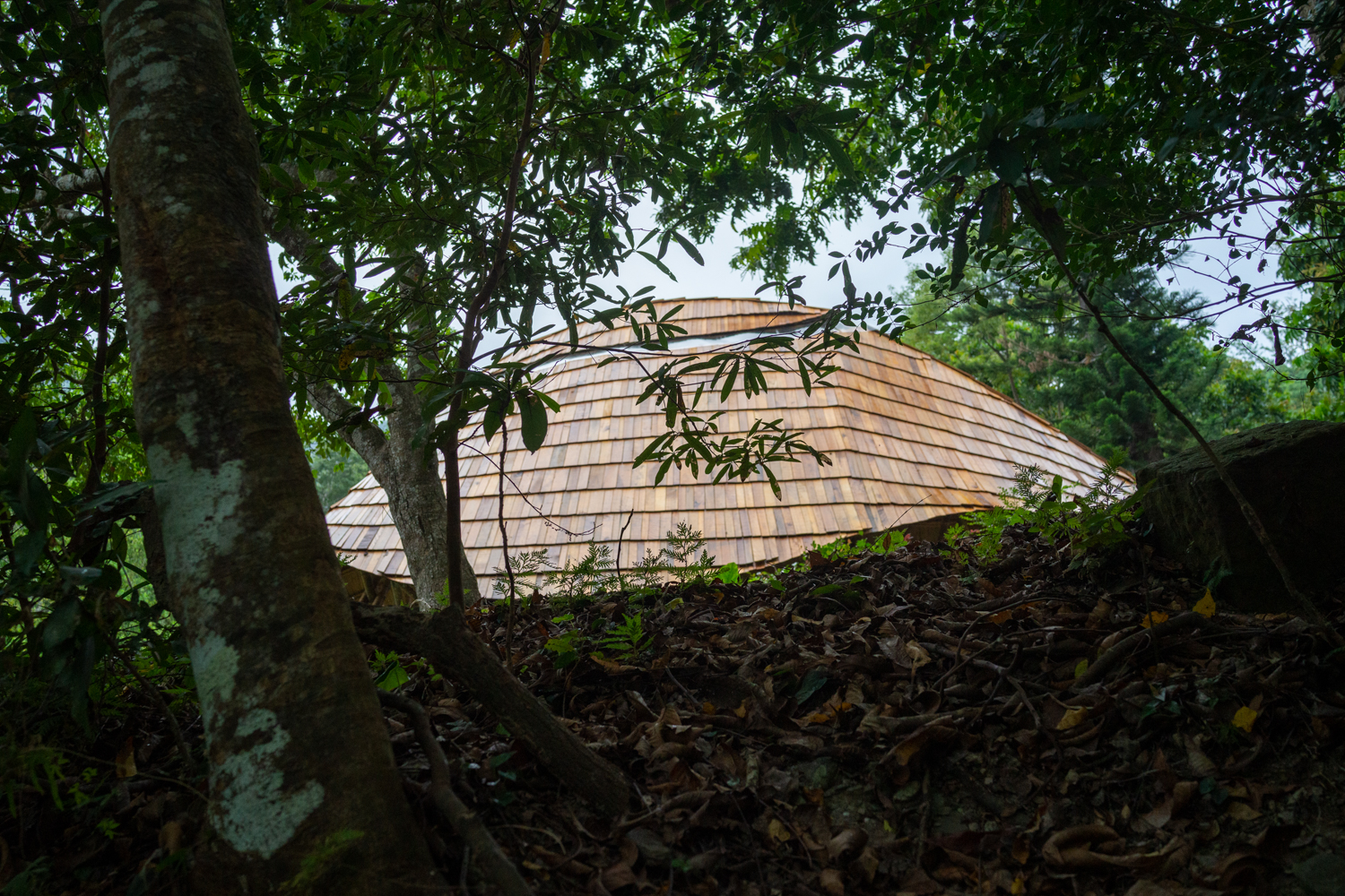 Being, cette construction en bambou de Chen Szu-yin, au parc forestier de Zhiben dans le comté de Taitung, se fond merveilleusement bien dans la nature (photo : Sasa)