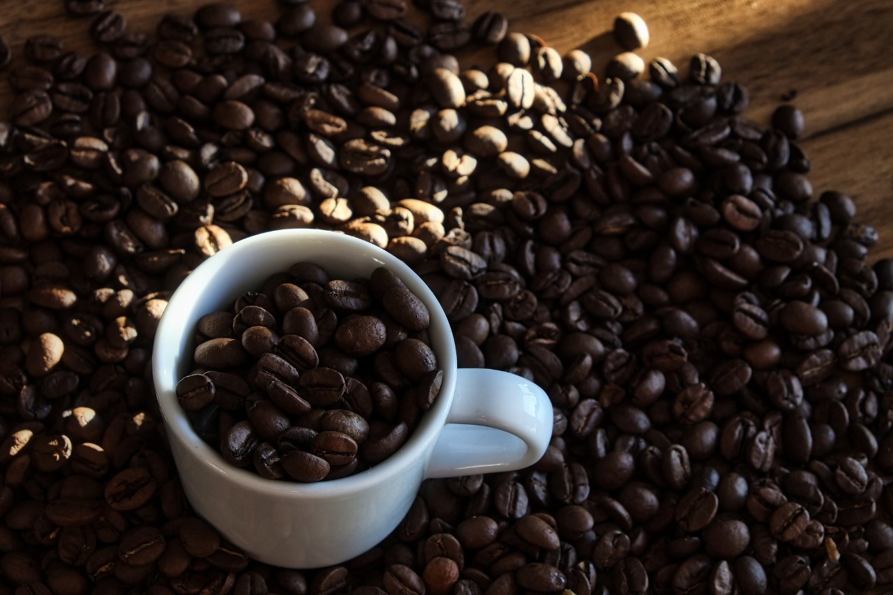kopi