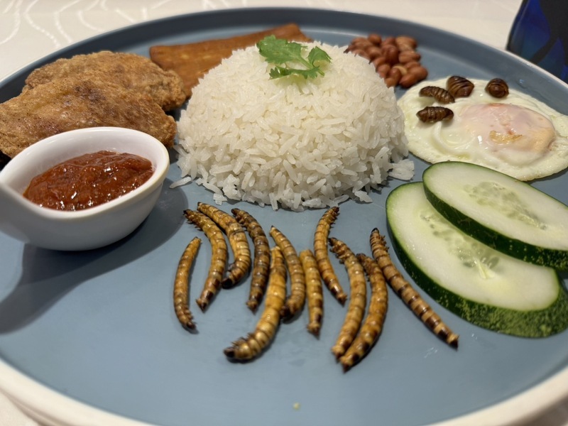Badan Pengawas Obat dan Makanan Singapura meloloskan 16 spesies serangga untuk dijadikan sebagai menu makanan yang dihidangkan di atas meja dan dikonsumsi termasuk jangkrik, belalang, ulat bambu, ulat sutra dan lainnya (foto: CNA)