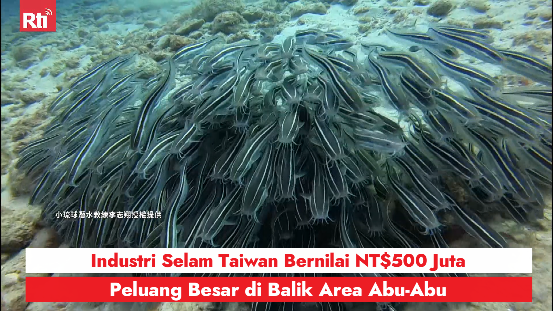 Industri Selam Taiwan Bernilai NT$500 Juta, Peluang Besar di Balik Area Abu-Abu