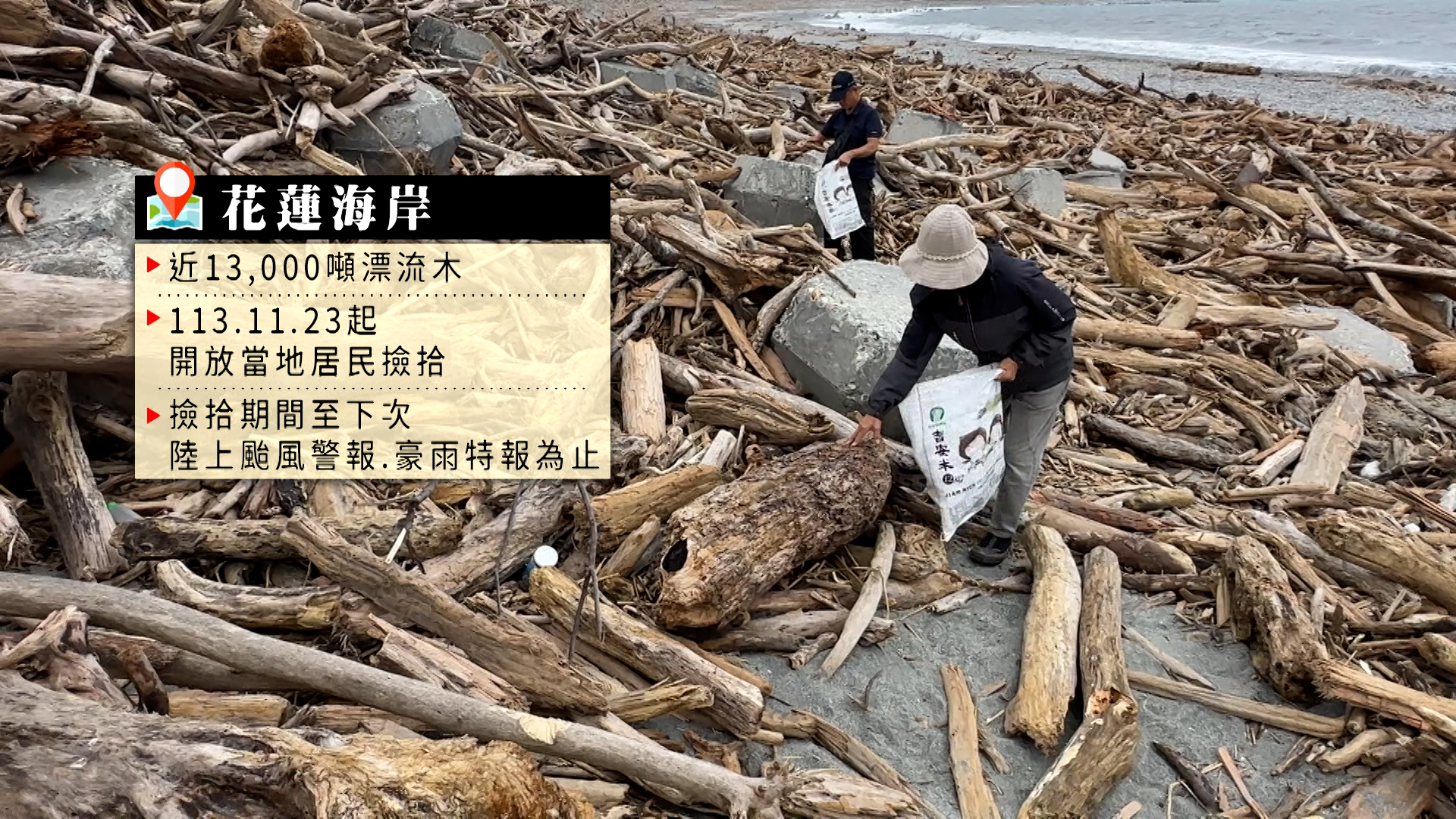 台風襲来で花蓮の海岸に大量の流木 新スポット「一本の丸太」が出現