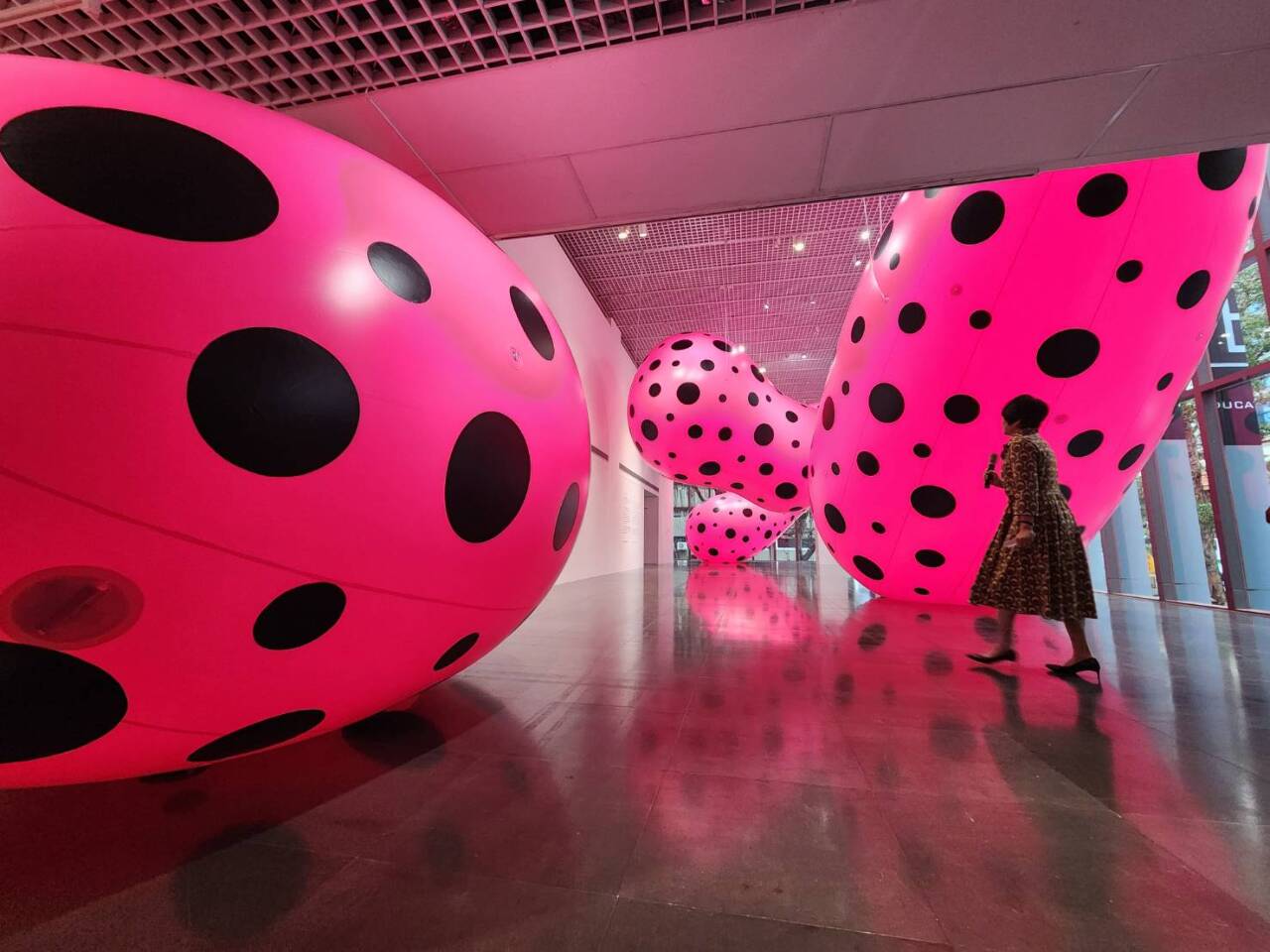 草間彌生さん、台湾で9年ぶりの個展開催 台湾初公開を含めた初期の作品