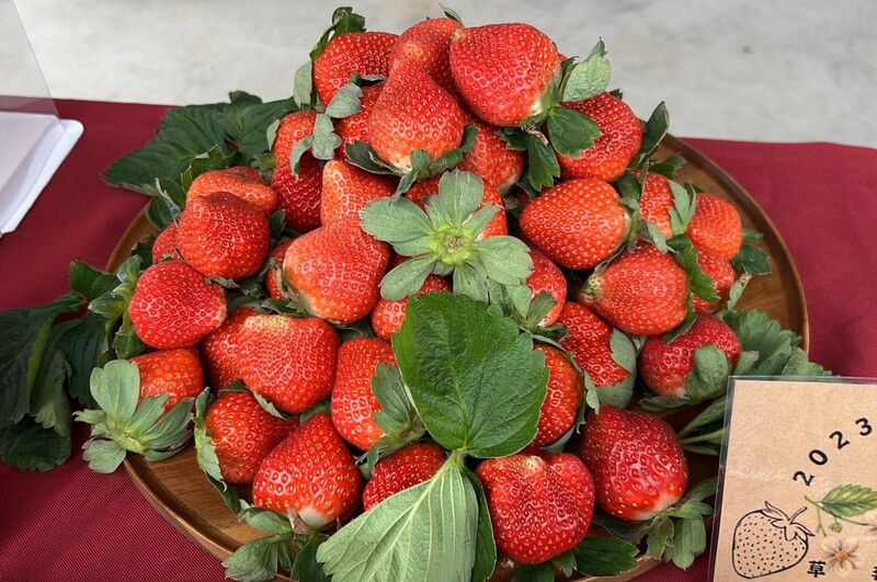 strawberi di Perbandaran Dahu