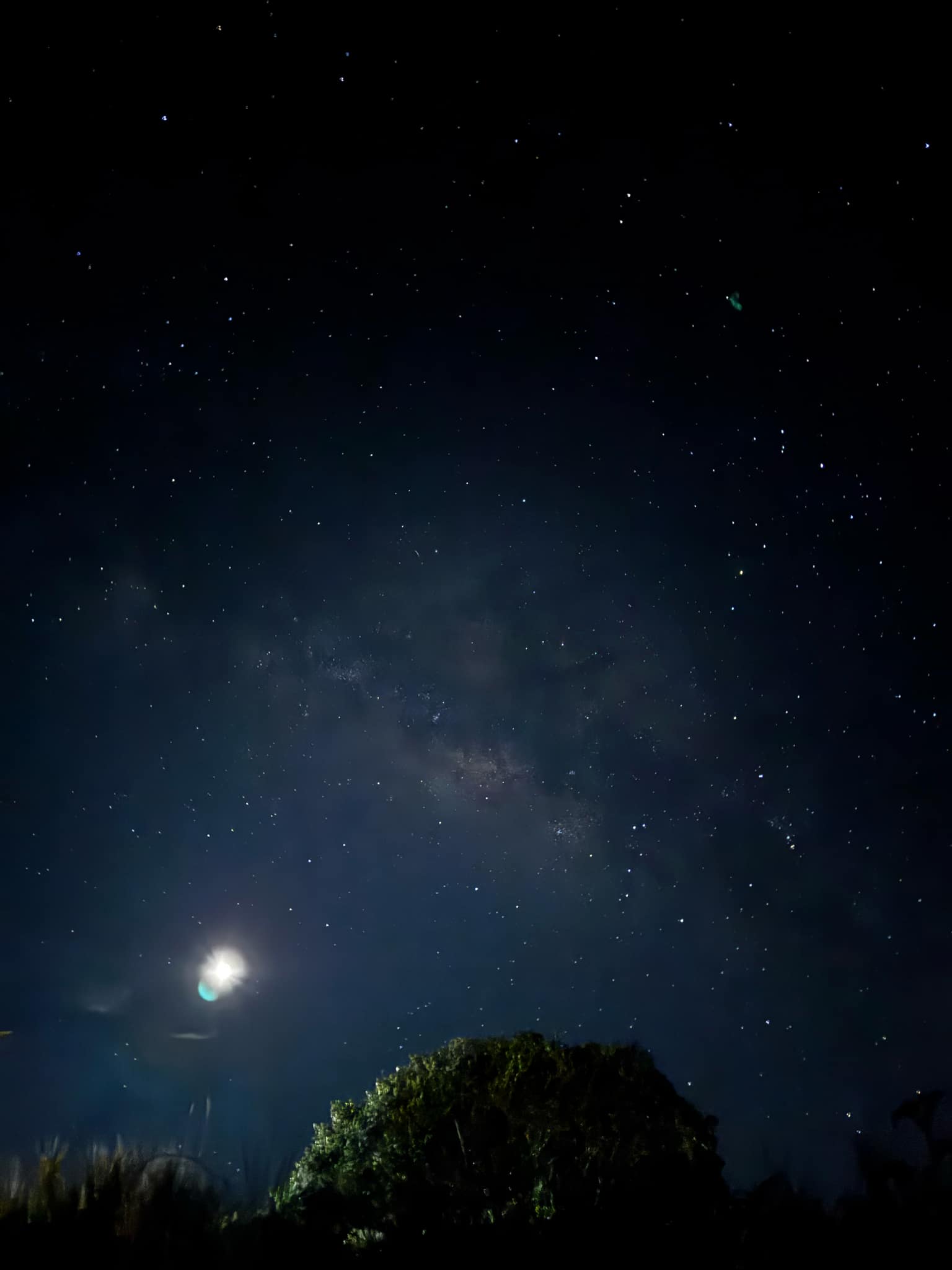The photo was taken at the summit of Mt. Pulag in Benguet, Philippines. (Photo: Wai Huang)