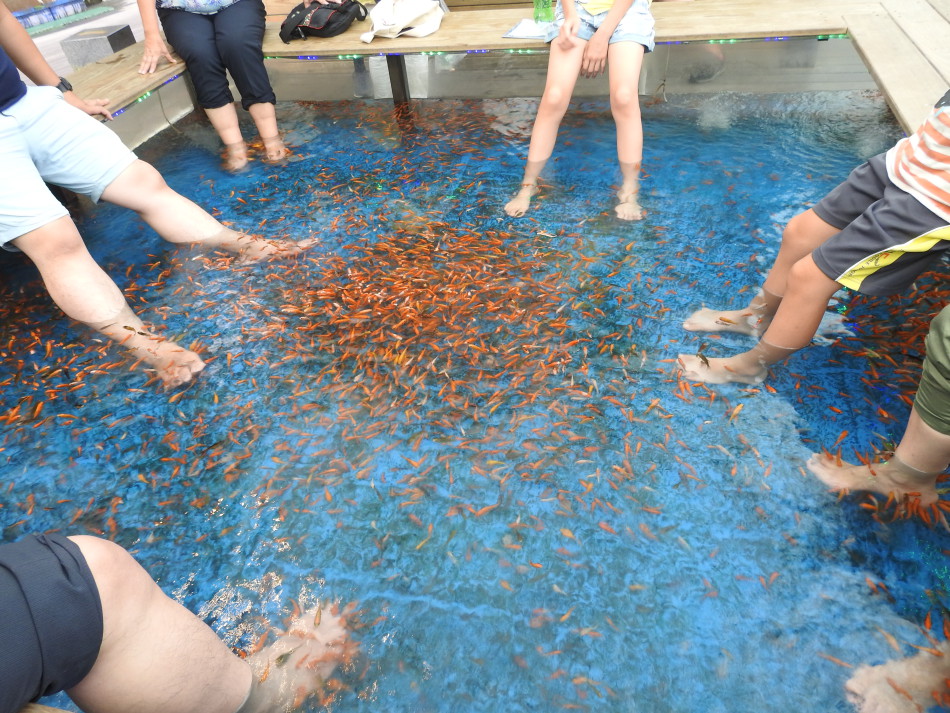Taiwan's Jiaoxi (礁溪) Township is home to hot springs, which are famous for their 'Doctor Fish Foot Spas' (溫泉魚足浴). (Image: Billy Shyu via Nspirement)