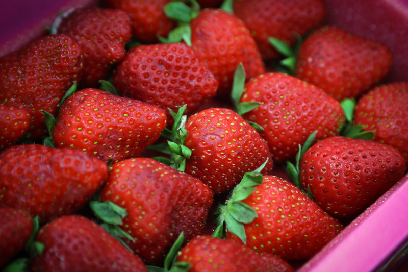 Один из неизбежных сезонов на Тайване — сезон клубники! Фото: CNA