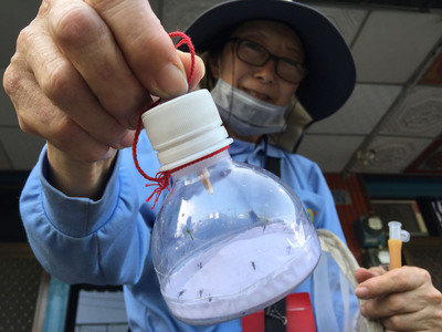 高雄市登革熱疫情嚴峻，國軍化學兵、衛生局防疫人員等，16日前往三民區灣利里一帶，協助防疫消毒工作。防疫人員並在現場採集到「埃及斑蚊」病媒蚊檢體，準備帶回檢驗。<br />(圖：中央社)