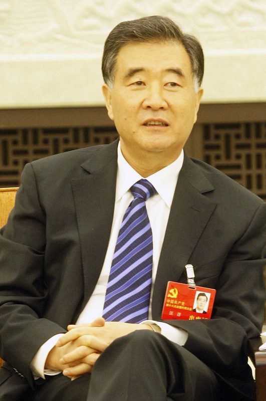 62歲的中國國務院副總理汪洋是大陸政壇年輕有為、前途受矚的一顆新星，如今，除了年齡優勢，汪洋的政治利基還包含行政資歷完整，仕途幾乎沒遇過彎路。（資料照片）<br />(圖：中央社)