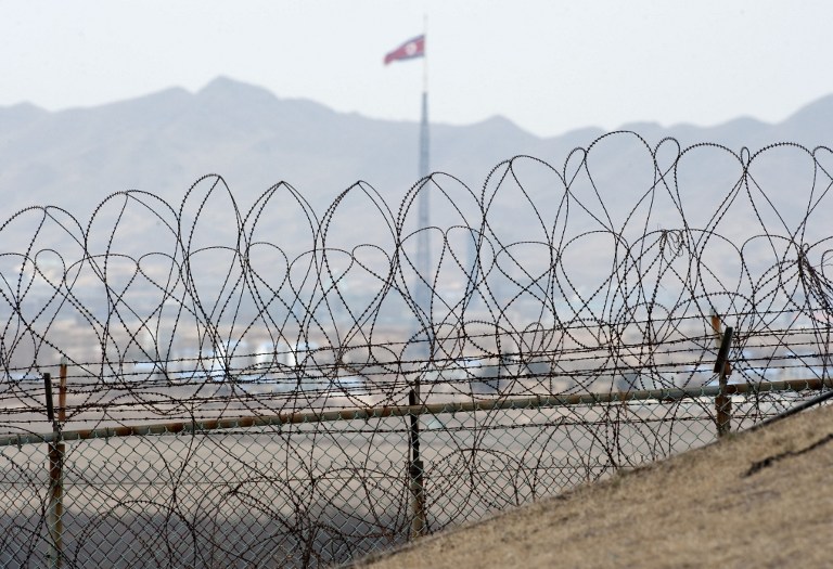 南北韓非軍事區(DMZ，Demilitarized Zone)。(AFP)