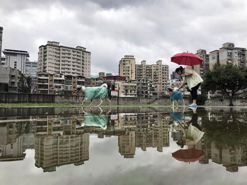 中央氣象局預報，入秋最強鋒面18日報到，加上東北季風增強，北台灣氣溫像溜滑梯，天氣轉濕冷，北部及東北部降雨最明顯，易有瞬間大雨，請民眾留意天氣變化。<br />(圖：中央社)