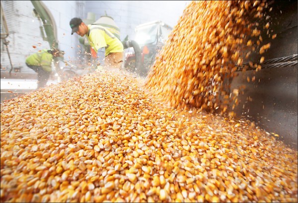 中國商務部4日主動宣布對美國進口高粱啟動俗稱「雙反」的反傾銷與反補貼調查。這兩項調查都是世界貿易組織(WTO)內，各經濟體為保護本土業者受損採用的措施。（網路圖片）
