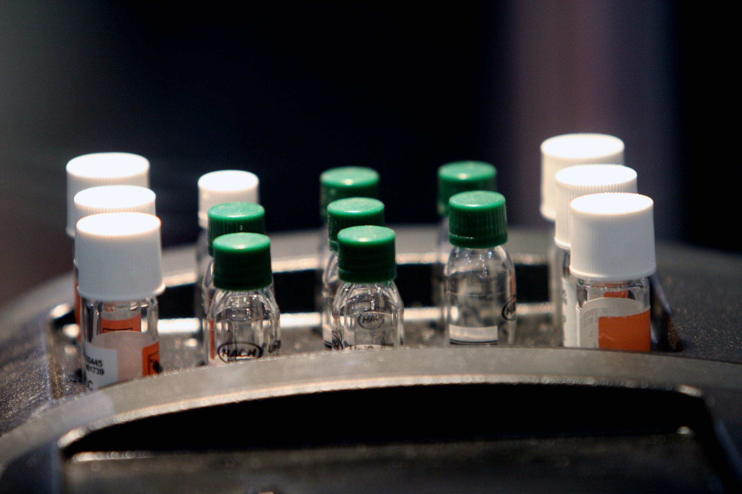 日本科學家將在這個月，就對抗致命的伊波拉病毒新疫苗，展開在日本的首度人體試驗。(圖：foter)