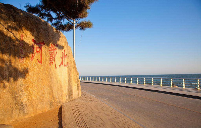 北戴河全區7月1日起，將禁止特斯拉電動車駛入2個月。（讀者提供）(資料照片／中央社)