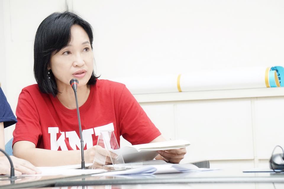 國民黨智庫執行長柯志恩可能代表藍營出征港都。(圖取自臉書)