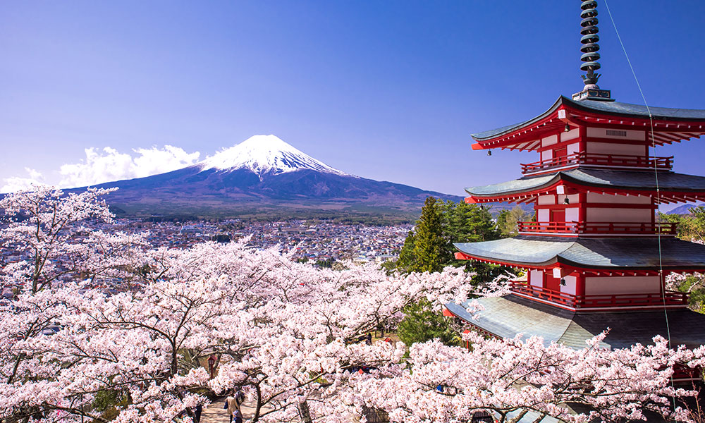 日韓武漢肺炎快速蔓延 美調高旅遊警示至第二級。(圖：日本觀光局網站)
