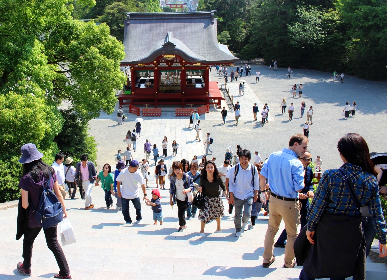 圖為鎌倉八幡神社。(資料照片/沈聰榮攝)