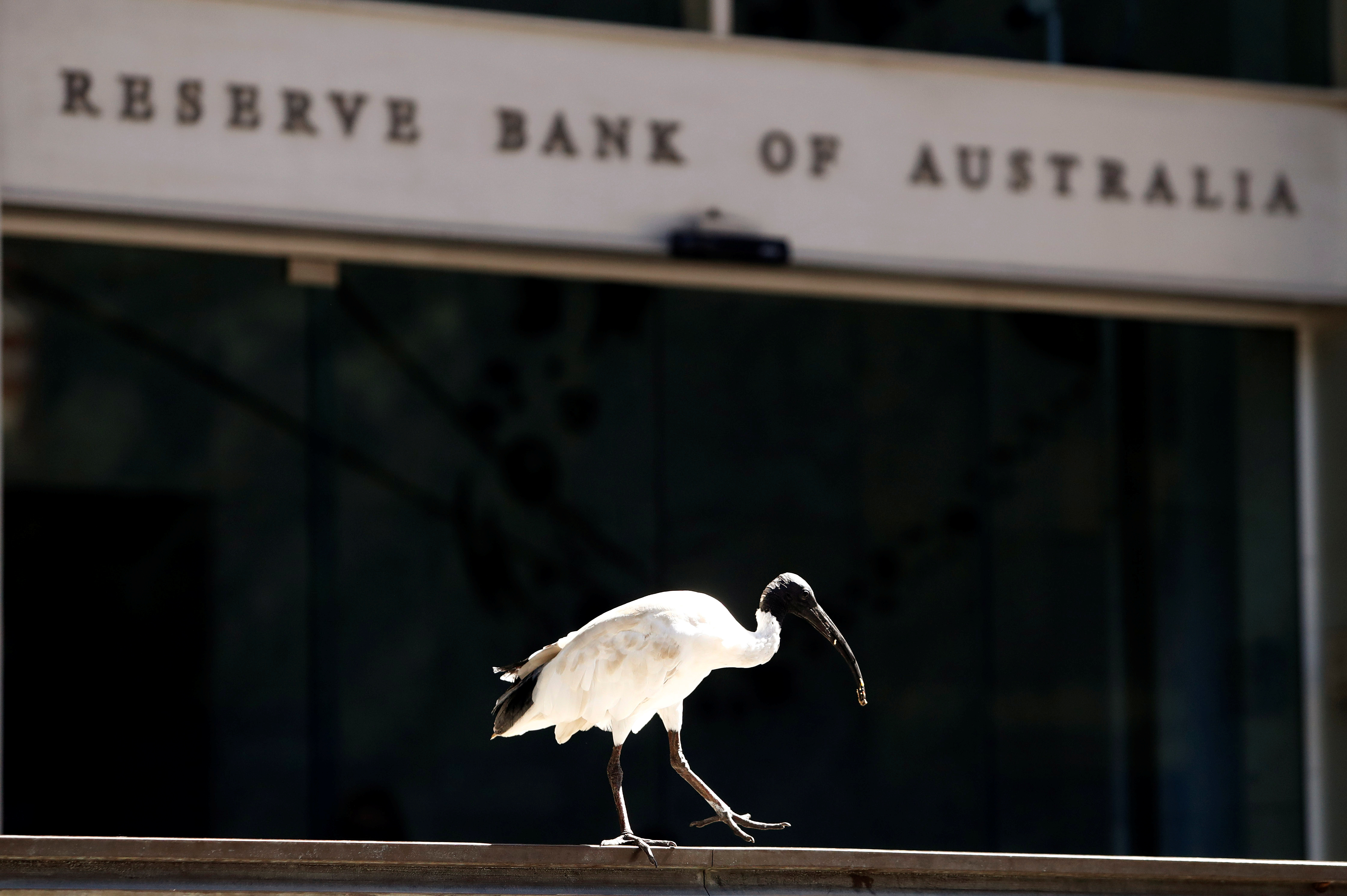 澳洲儲備銀行(澳洲中央銀行，Reserve Bank of Australia, RBA) (路透社/達志影像)