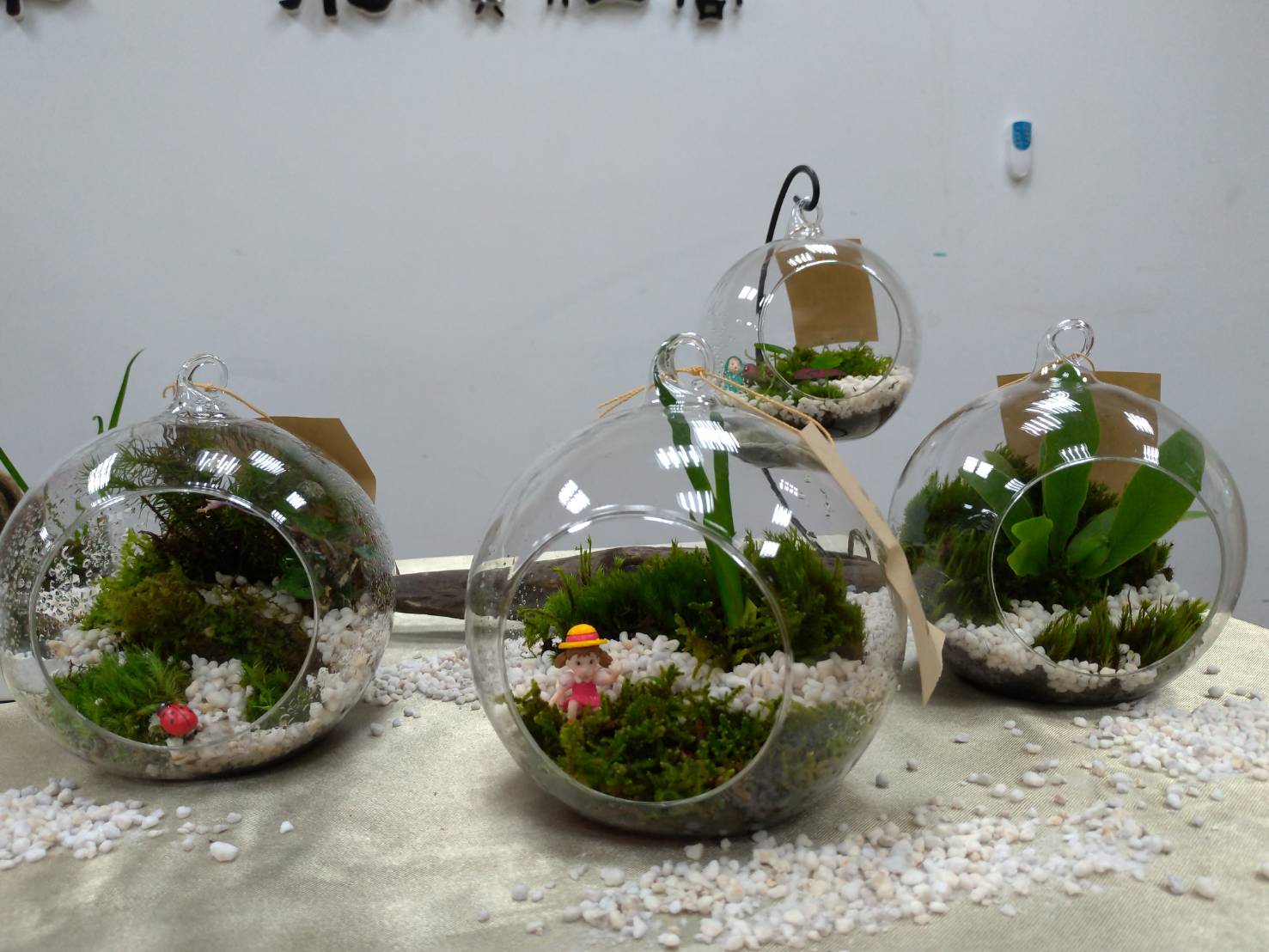 原生苔蘚放在球狀盆栽內，並加上公仔裝飾，超級療癒。(圖：陳林幸虹 攝)