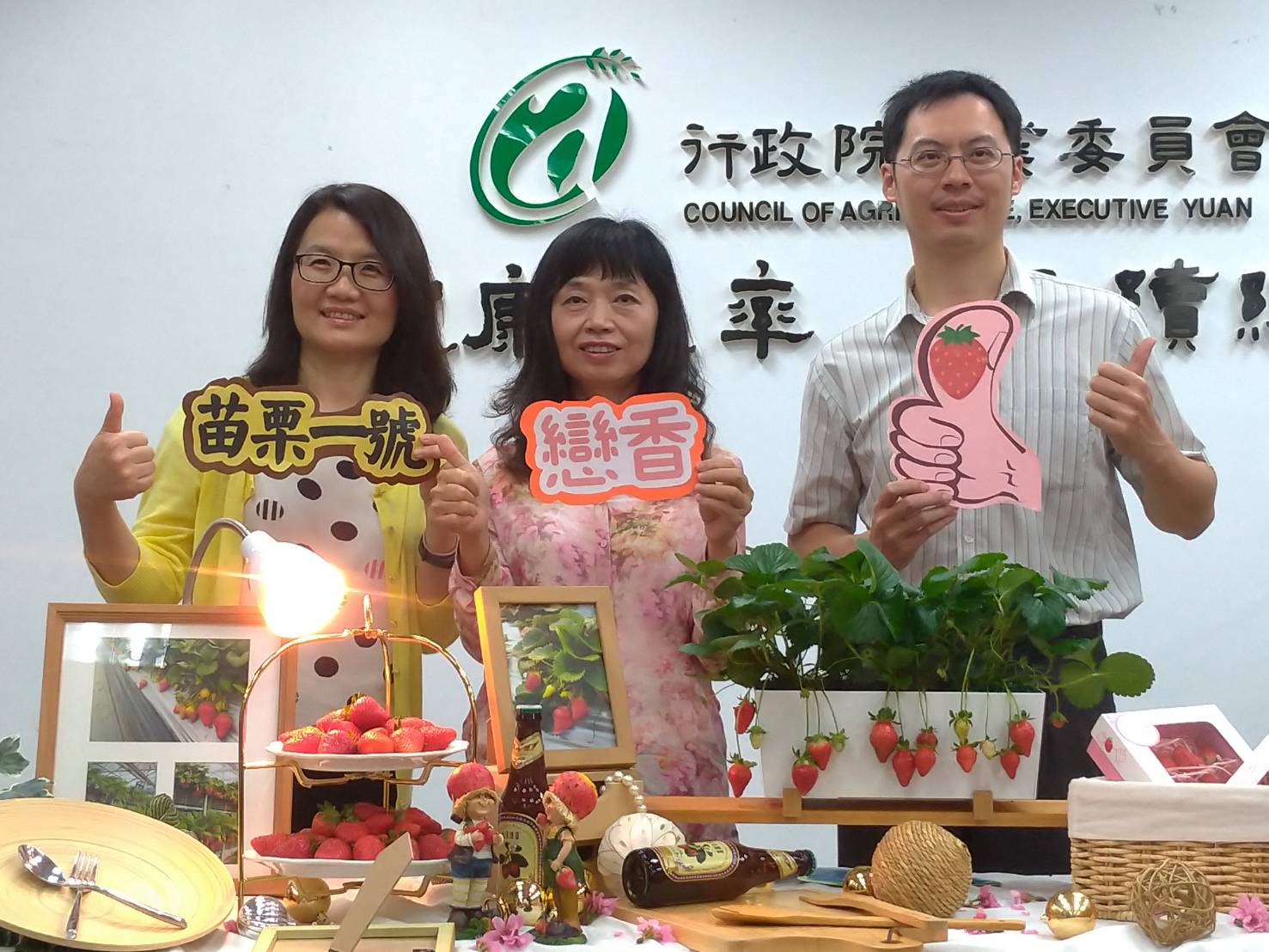 農委會苗栗農業改良場歷時6年，育種成功草莓界的香奈兒「戀香」。(圖：陳林幸虹 攝)