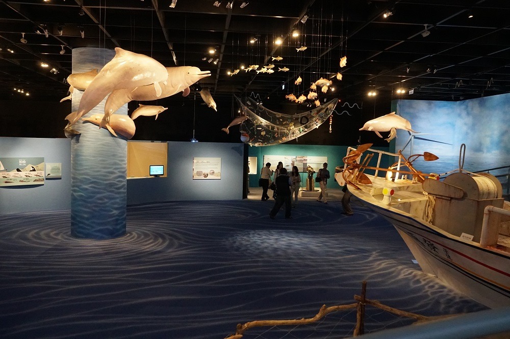 科博館「拍岸鯨奇：當鯨豚與人相遇」 特展，展出中華白海豚與海洋生物模型與多樣鯨豚類標本，提醒民眾重視並保育被國際認證「瀕臨物種」的台灣白海豚。(科博館提供)