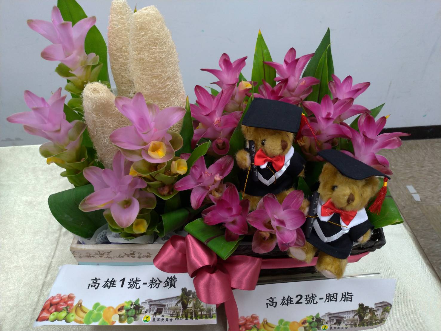 農委會高雄區農業改良場經過10年的努力，首度育成兩個薑荷花的本土新品種「粉鑽」以及「胭脂」。(圖：陳林幸虹 攝)